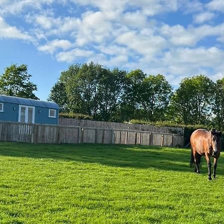 Wee Shepherds Hut Maybole Villa Buitenkant foto