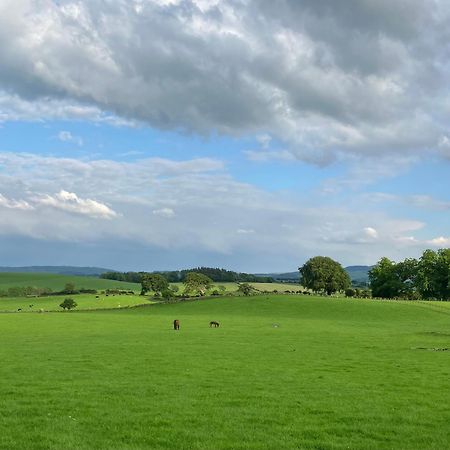 Wee Shepherds Hut Maybole Villa Buitenkant foto