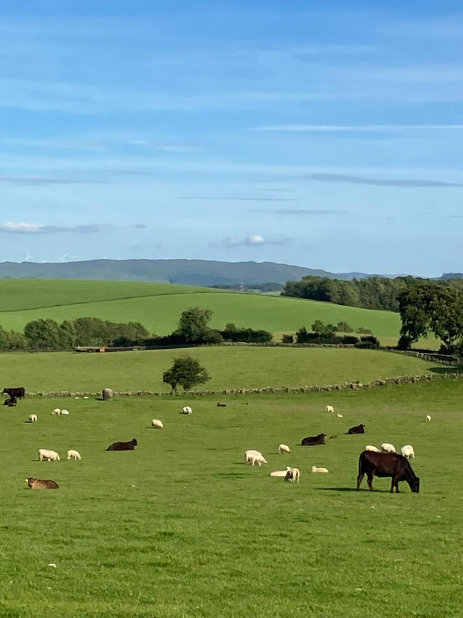 Wee Shepherds Hut Maybole Buitenkant foto